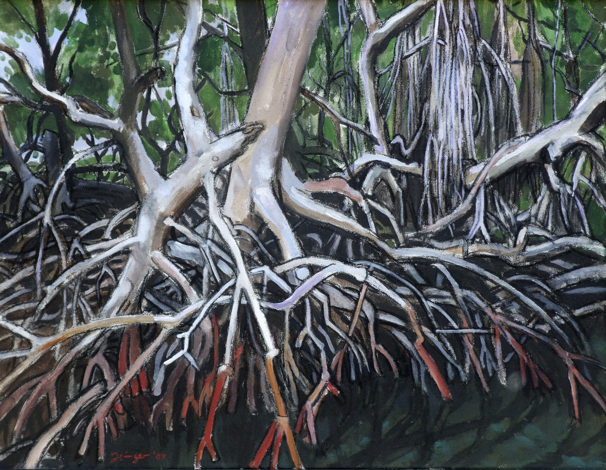 Mangroven 1
