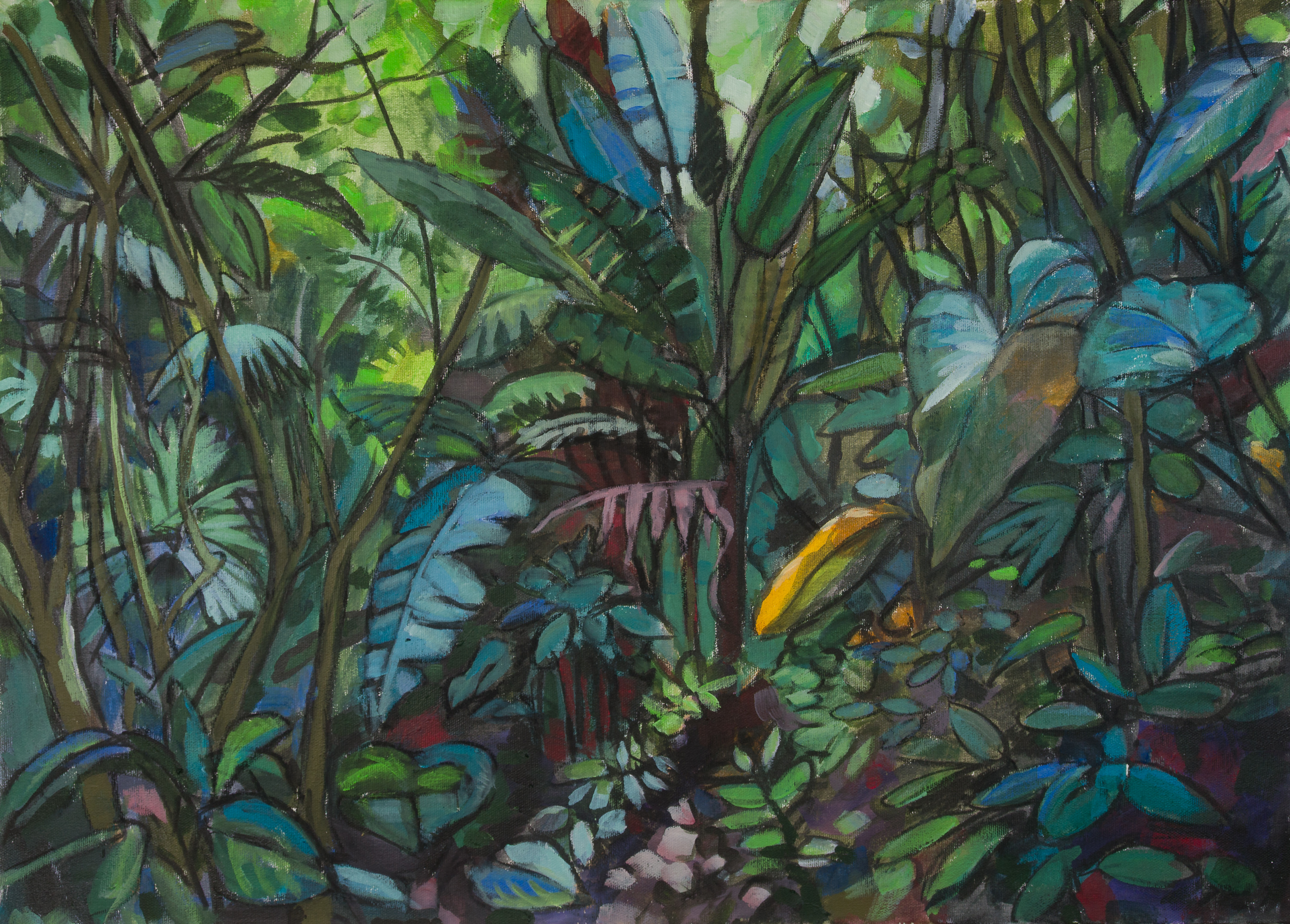 Mexiko - Selva Maya