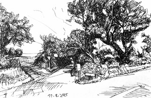 Normandie - Straße zum Strand